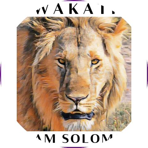 Adam Solomon