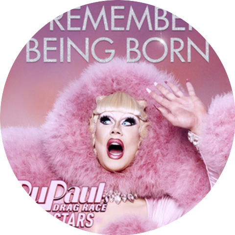 The Cast of RuPaul's Drag Race: All Stars