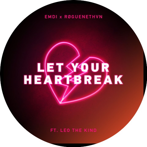 EMDI & RØGUENETHVN