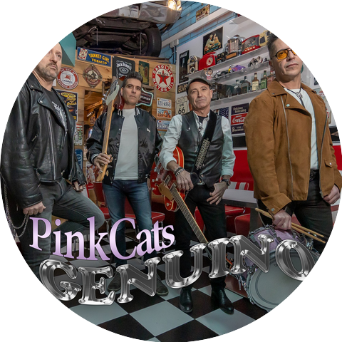 Pink Cats