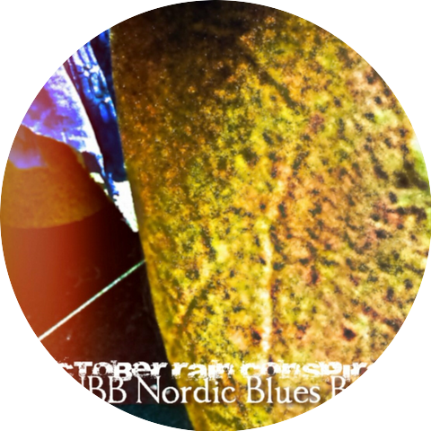 NBB Nordic Blues Bear
