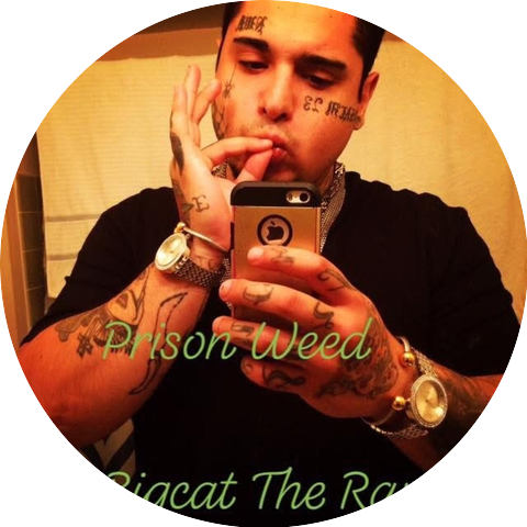 Bigcat the Rapper