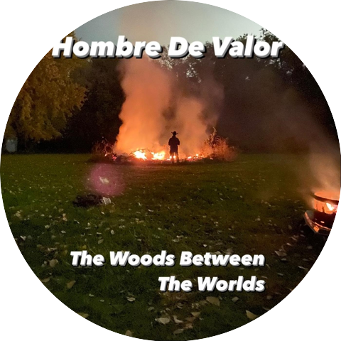 The Wood Between The Worlds
