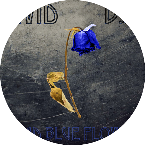 Vivid B.S.