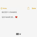 Bizzey & Ramiks