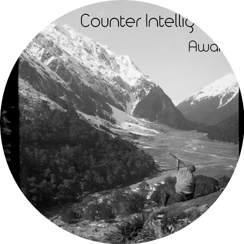 Counter Intelligence