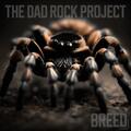 The Dad Rock Project