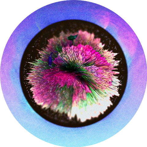 Wisdom Salad