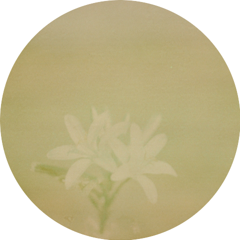 Falling Orange Things