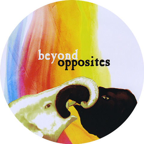 Beyond Opposites