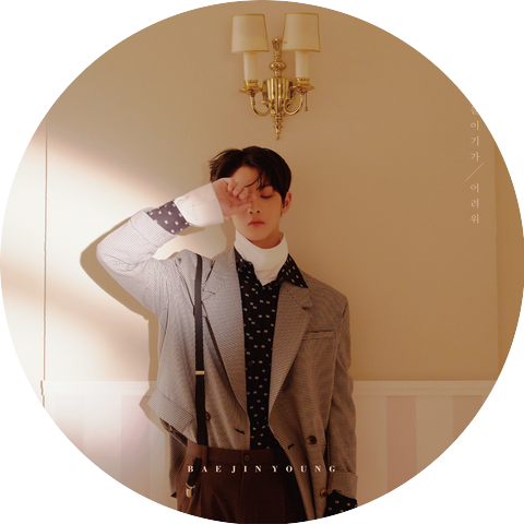 Bae Jin Young