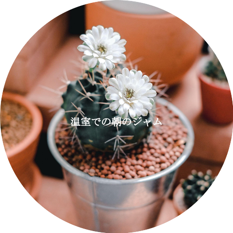 Classic Instrumental Jazz