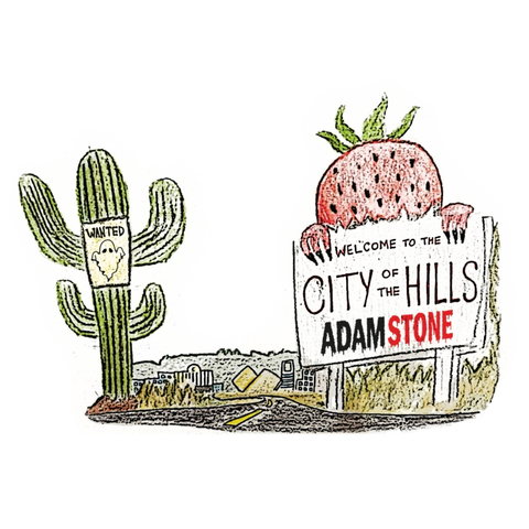 Adam Stone