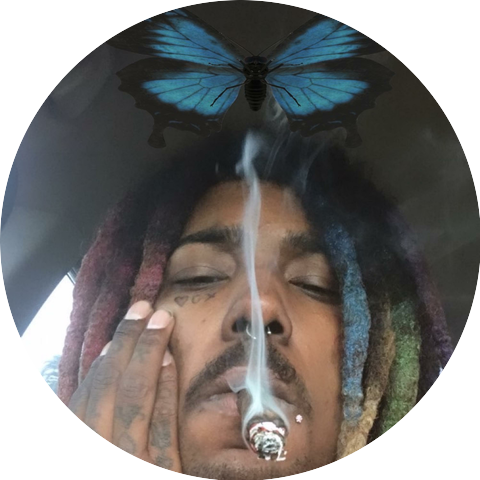 Paradox Flxcko