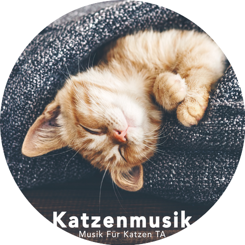 Musik für Katzen TA