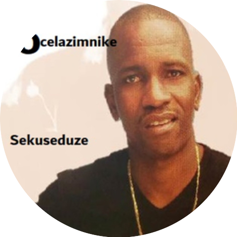 Ocelazimnike