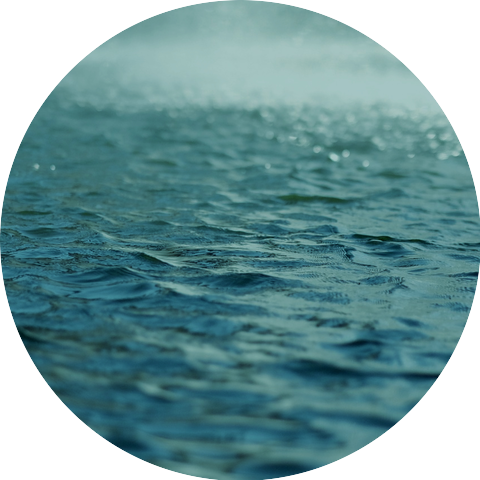 Nature Sounds & Rain Sounds Sleep