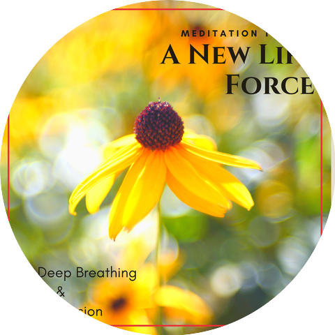 Mindful Mantra Music