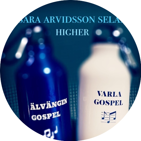 Sara Arvidsson Selan