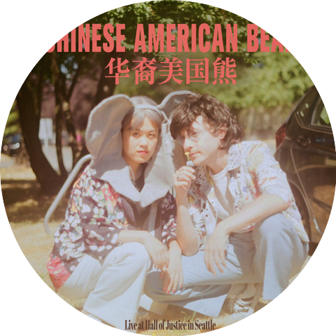 Chinese American Bear