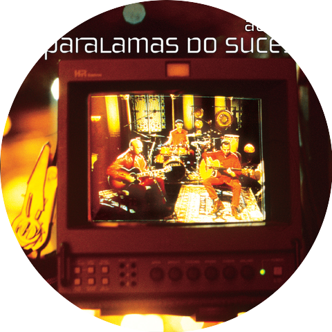 Os Paralamas Do Sucesso & Zizi Possi