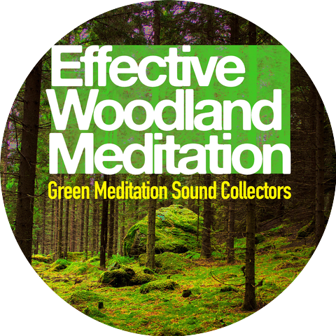 Green Meditation Sound Collectors