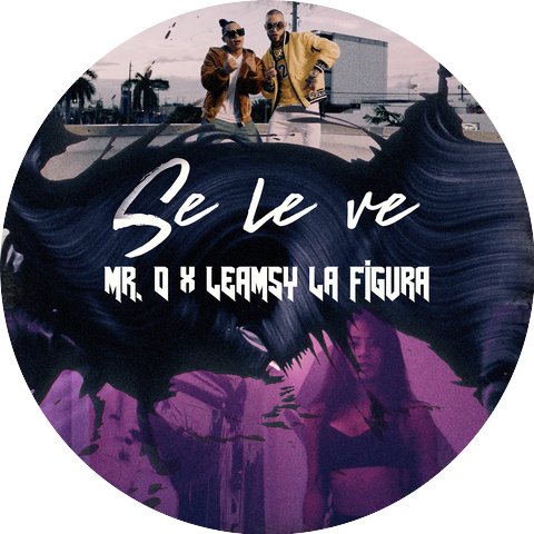 Mr. D & Leamsy La Figura
