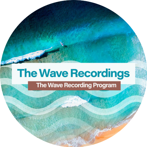 The Wave Recording Program