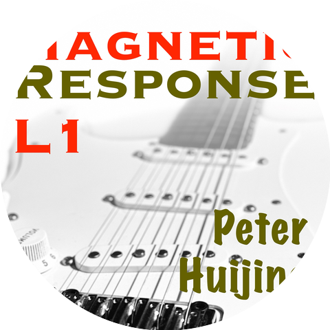 Peter Huijing