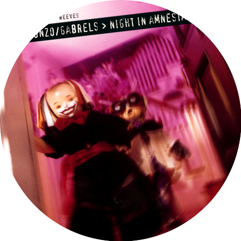 David Tronzo & Reeves Gabrels