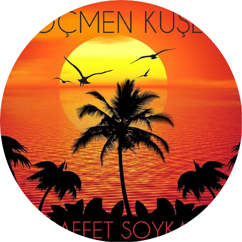 Saffet Soykal