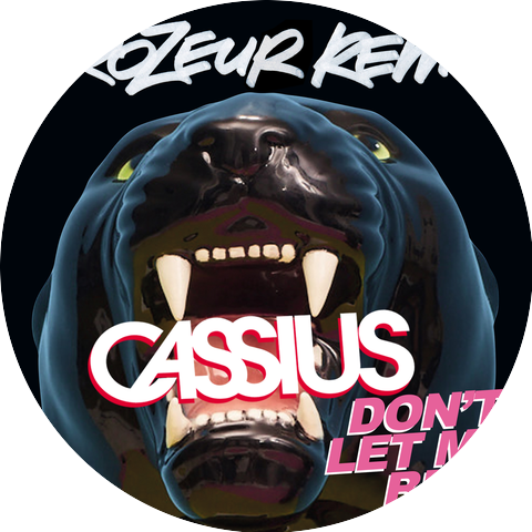 Cassius & Owlle
