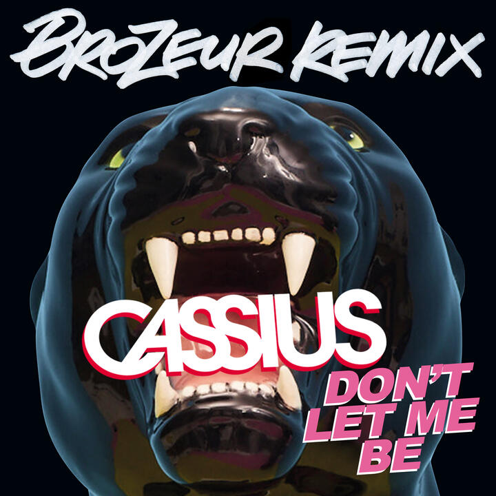 Cassius & Owlle