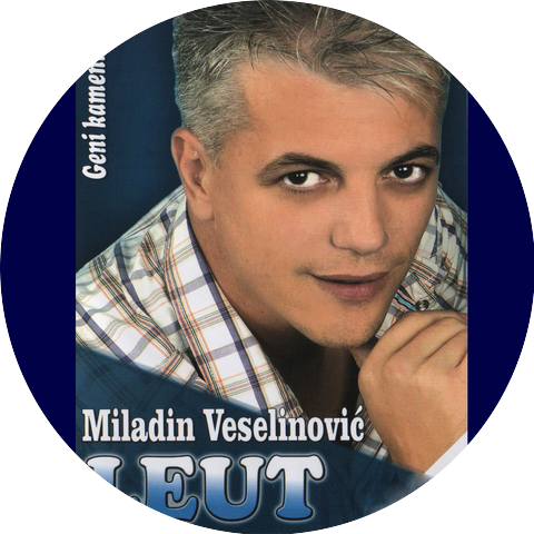 Milan Veselinović