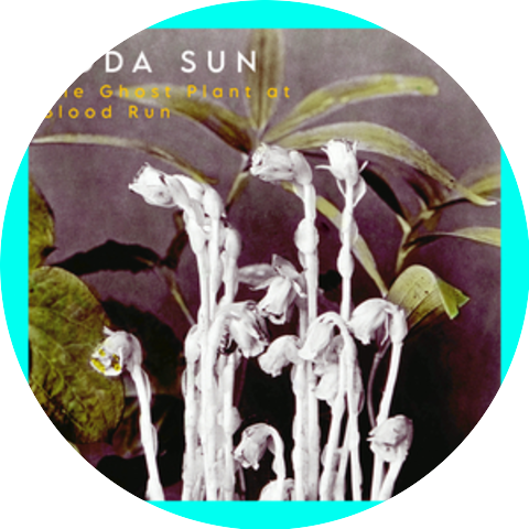 Soda Sun