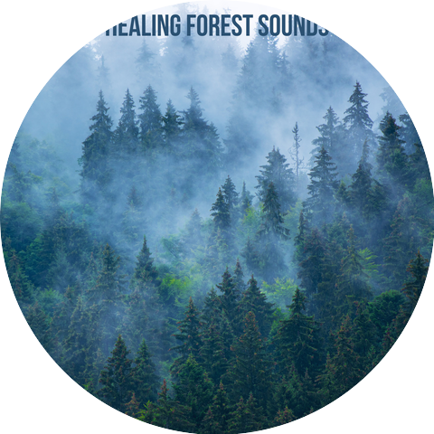Nature Chillout