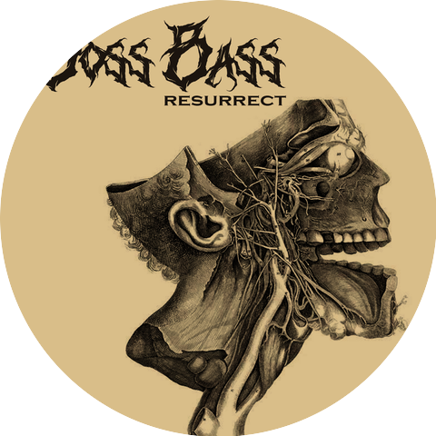 Boss Bass