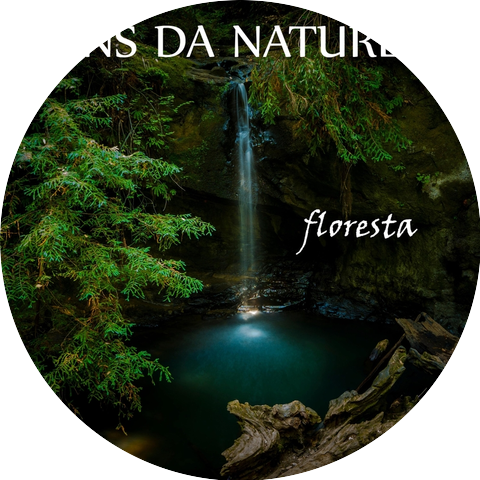 Dormir Profundamente & Música Relaxante