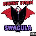 Cuntry $torm