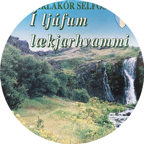 Karlakór Selfoss
