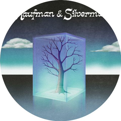 Kaufman & Silverman