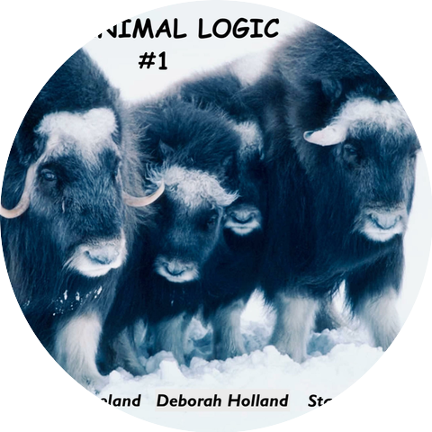 Animal Logic