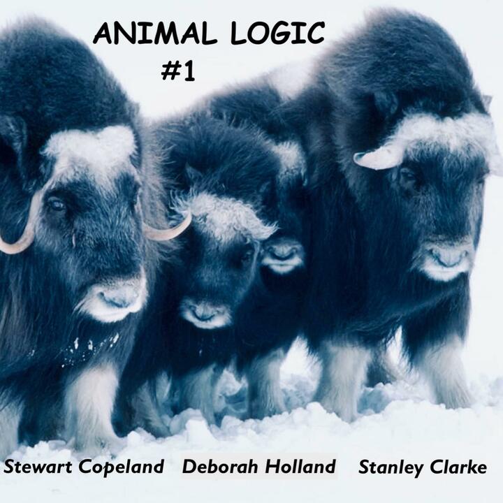 Animal Logic