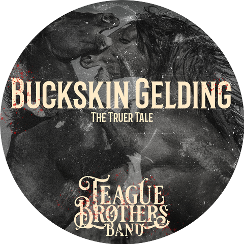 Teague Brothers Band