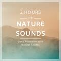 125 Nature Sounds,Thunderstorm Sleep