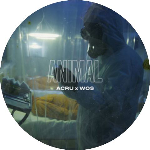 Acru & WOS