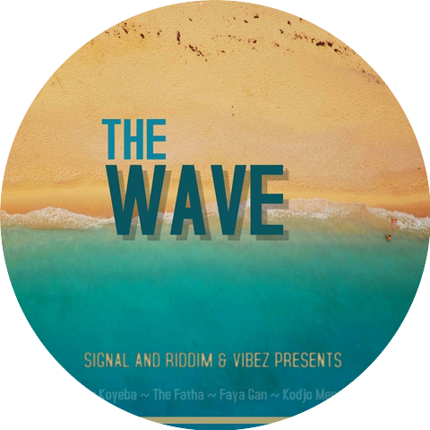 Signal and Riddim & Vibez
