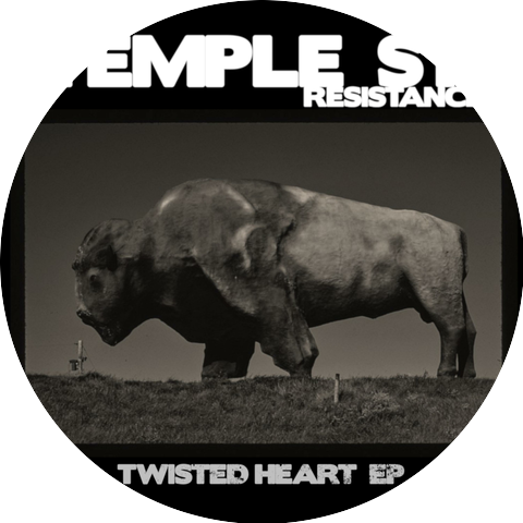 The Temple St. Resistance