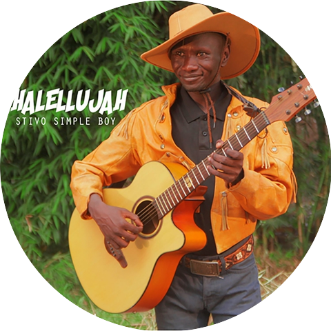 Stivo simple boy