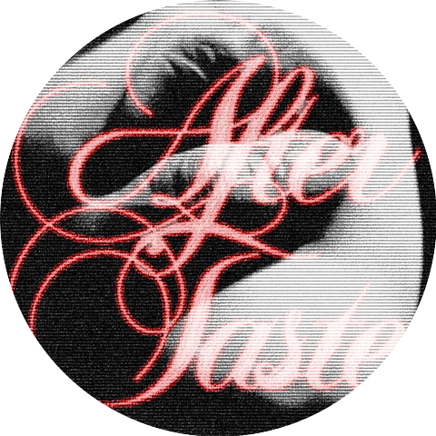 Roadtrip to Antarctica